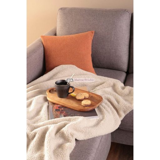 Biederlack TEDDY CREME - törtfehér bundás téli meleg pléd 150x200 cm