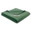Biederlack Cotton Sense Alge 100% pamut pléd takaró150x200 cm
