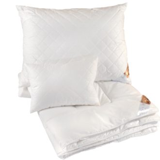 Billerbeck Feelings HYPOALLERGÉN kispárna 36x48 cm