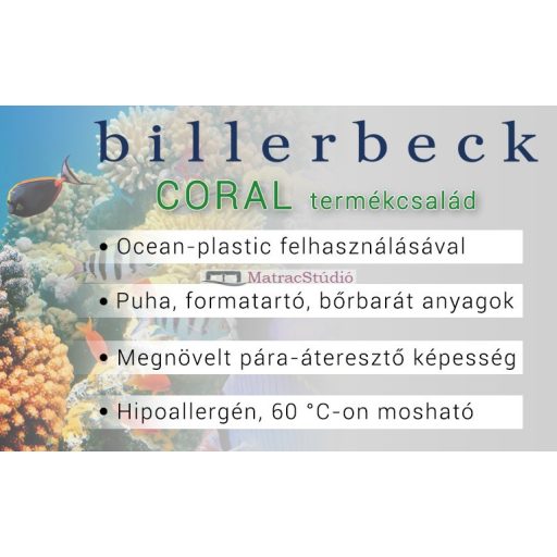 Billerbeck Coral nagypárna 70*90 cm