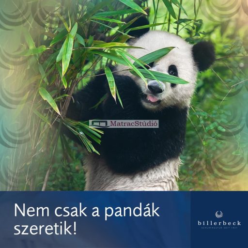 BILLERBECK BAMBUSZ LIGHT könnyű, nyári, verejtékezést csökkentő  paplan 135x200 cm