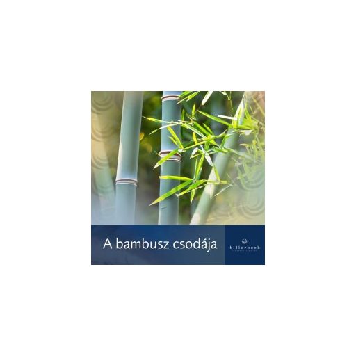 Billerbeck BAMBUSZ LIGHT könnyű, nyári verejtékezést csökkentő dupla paplan 200x220 cm