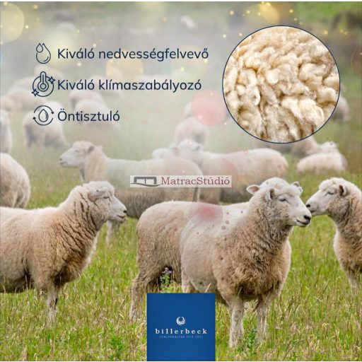 BILLERBECK DEBORA DUO  gyapjú dupla paplan (téli) 200x220 cm