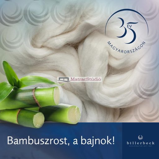 BILLERBECK BAMBUSZ UNO dupla átmeneti dupla paplan 200x220 cm