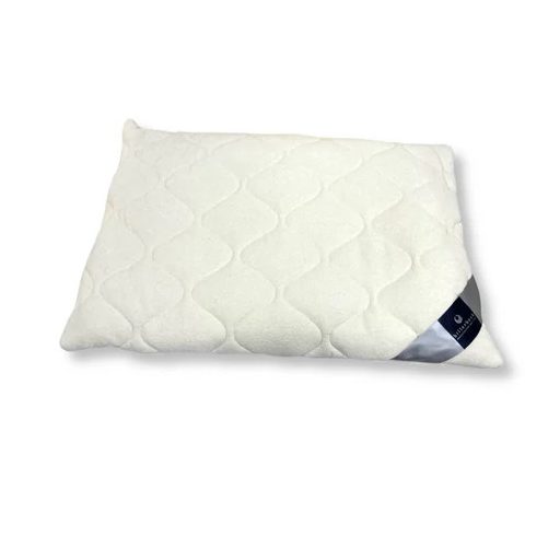 Billerbeck EVOLÈNE  hajdinahéj kispárna36*48 cm