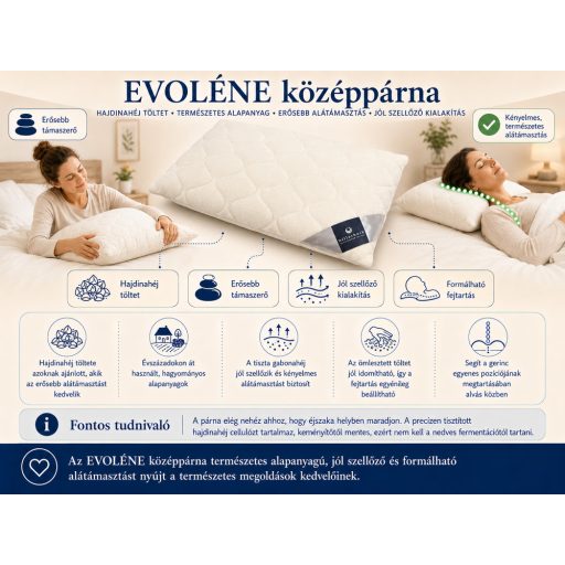 Billerbeck EVOLÈNE  hajdinahéj kispárna36*48 cm