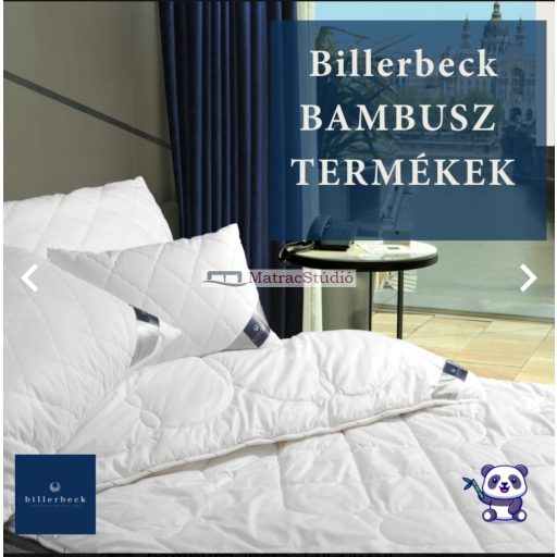 Billerbeck BAMBUSZ párna 50*70 cm