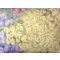  Billerbeck Bianka kispárnahuzat 100% pamutszaténból sárga-lila virágokkal 36x48 cm  